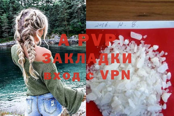 сатива Алзамай
