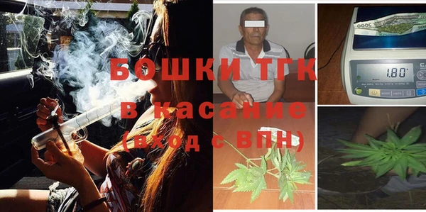 сатива Алзамай